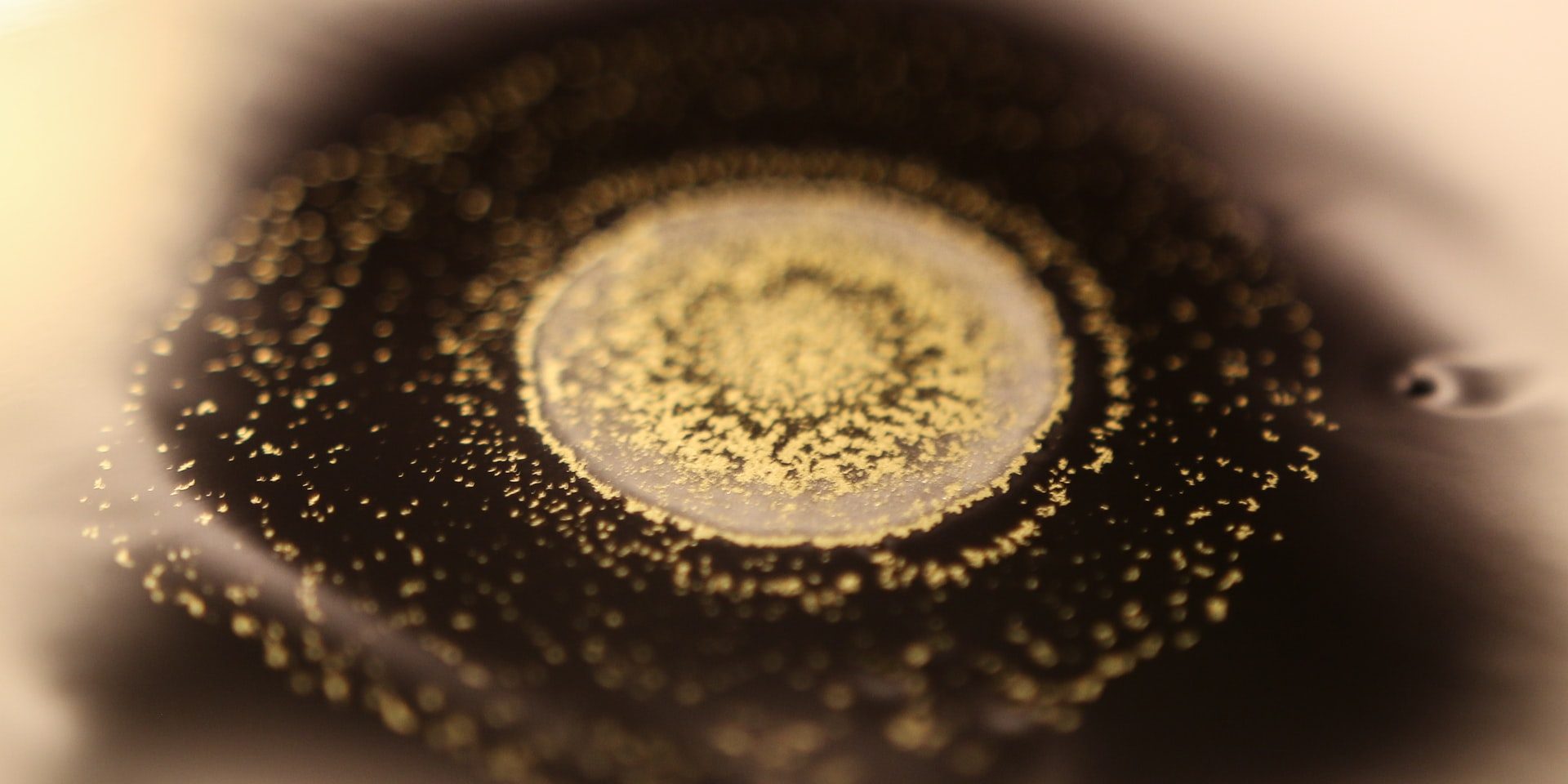 aquamizu - blog photo3