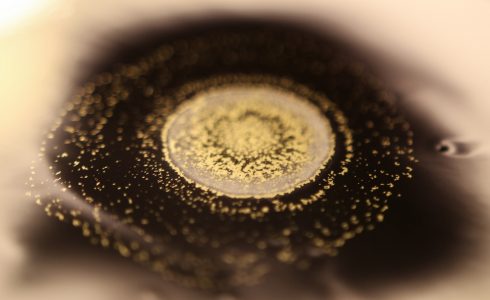 aquamizu - blog photo3