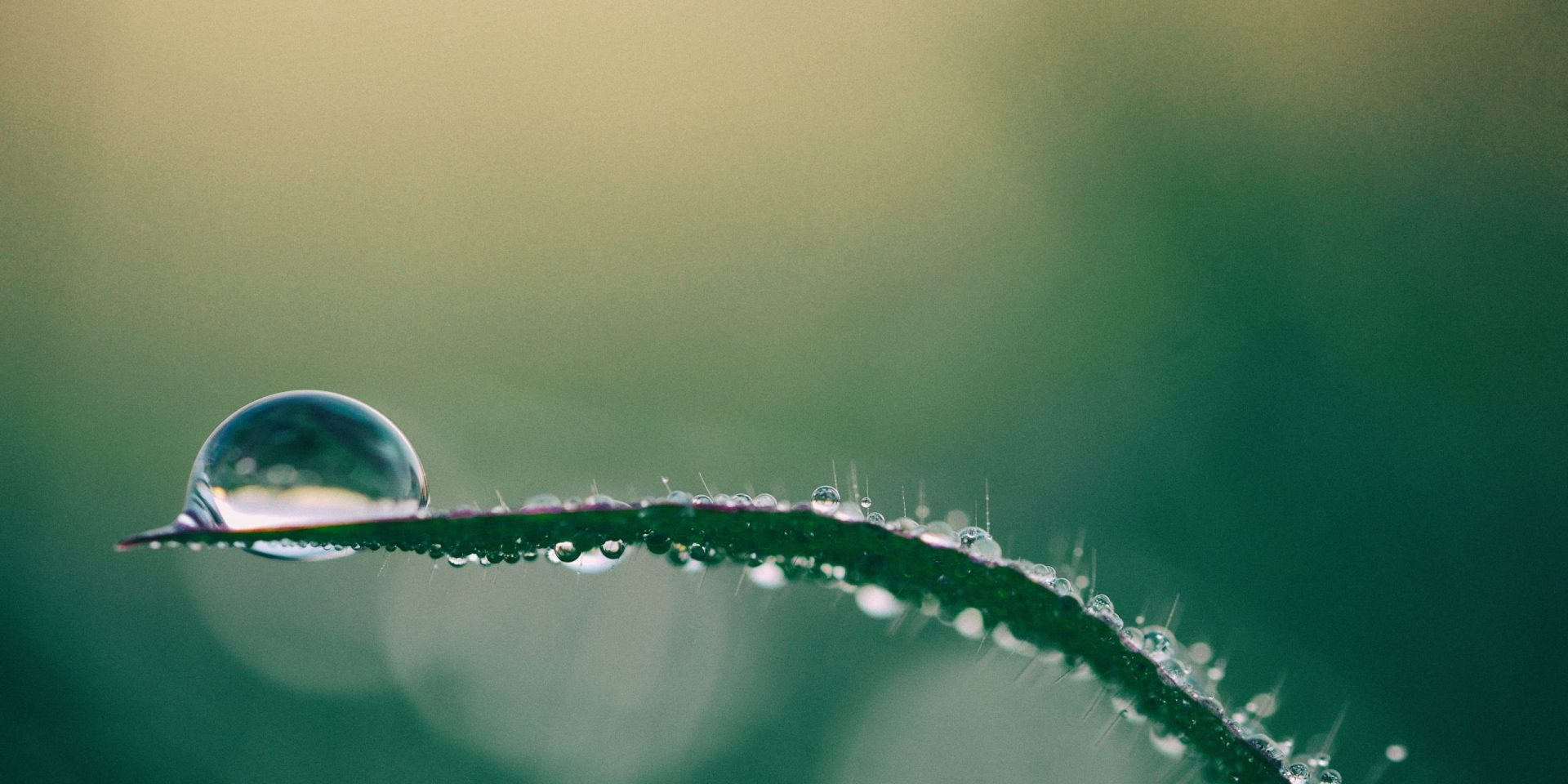 aquamizu - blog photo1