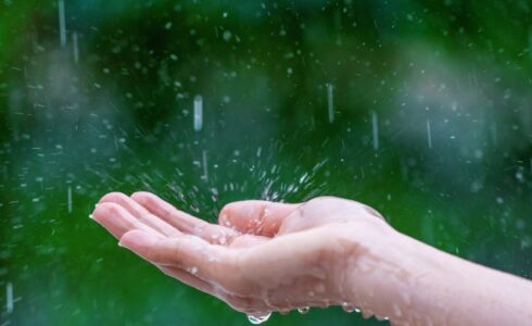 Yağmur Suyu İçilir Mi?