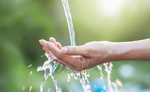 Neden Arıtılmış Su Kullanmalıyım